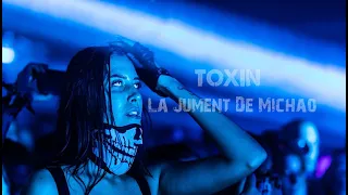Toxin - La Jument De Michao (Frenchcore Remix) (Videoclip)