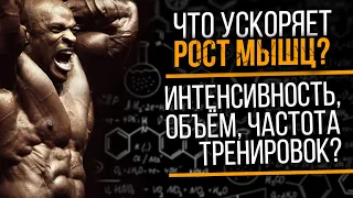 Объём, Частота, Интенсивность тренировок и Мышечная масса