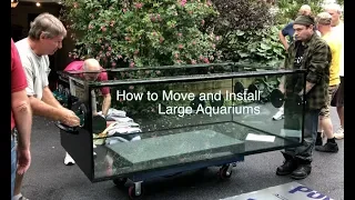 The Paletta 500 has arrived - how to move and install large aquariums