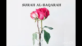 SURAH AL-BAQARAH protect house from shaytan,evil eye,witch craft,evil whisper  and brings barakah