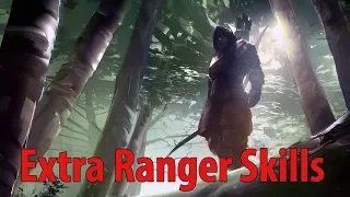 Helaene - Extra Ranger Skills - Divinity Original Sin 2 DE
