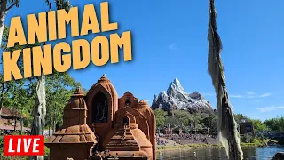 🔴 LIVE: Friday Morning at Disney's Animal Kingdom happy June 2nd 2023