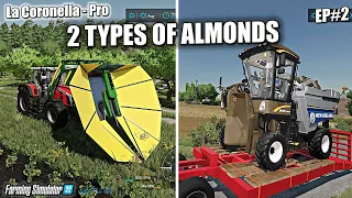 2 Types of Almonds at La Coronella Pro - Farming Simulator 22 - PS5  Ep#2