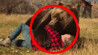 Scariest Scene from Grizzly Man (Werner Herzog)