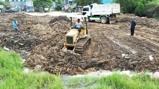 Small Bulldozer Clearing Land Skills Operator And Dump Truck Unloading Dirt Skills Driver