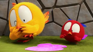 Where's Chicky? Funny Chicky 2023 | STRANGE ANIMAL | Cartoon in English for Kids | New episodes