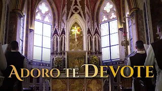 Adoro Te devote | Santo Tomás de Aquino (Louvor Perene,  26 jul. 2021)