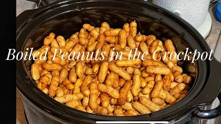 Boiled Peanuts in the Crockpot SC Style