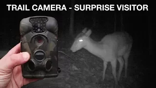 Trail Camera Footage - Surprise Visitor