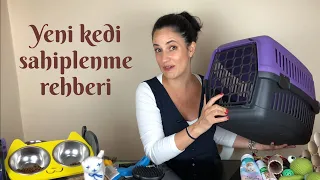 Kedi sahiplenecekler için gereken malzemeler, maliyetleri düşürmek için alternatifli seçeneklerle