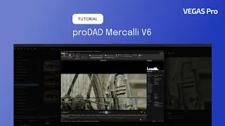 proDAD Mercalli V6 x VEGAS Pro 21 | Step-by-step guide for video stabilization