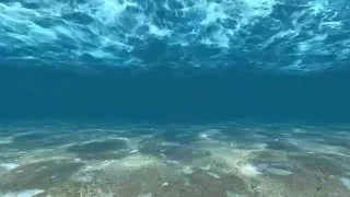 Wave of underwater for website background video - crackcodex