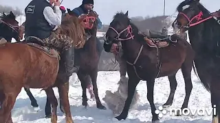 Көкпар 19.03.2022 Уварово