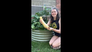 May Garden Tour / First Squash of the Season