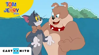 TOM VE JERRY | Gri Saç | Cartoonito Türkiye