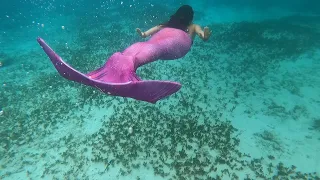 Sereias mergulham em Tulum usando cauda Sirenita Brasil