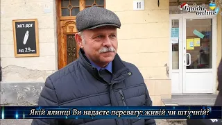 Власний погляд. Якій ялинці надають перевагу бродівчани: живій чи штучній? (ТК "Броди online")