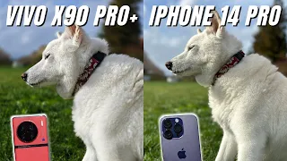 Vivo X90 Pro Plus vs iPhone 14 Pro Camera Comparison