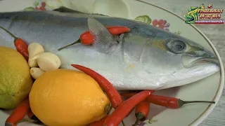 Few people cook fish like this, ceviches with LAKEDRA with tiger milk sauce, recipe from fisherman