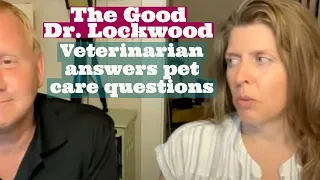 Veterinarian Answers Your Pet Care Questions