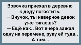 Вовочка Приехал в Деревню к Деду! Сборник Свежих Анекдотов! Юмор!