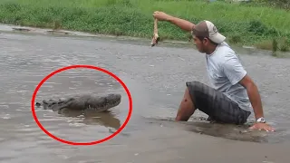 6 Crocodile Encounters You Should Avoid Watching (Part 7)