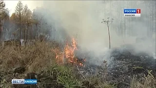 В республике 2 день подряд тушат пожары в Туимском лесничестве. 11.04.2019