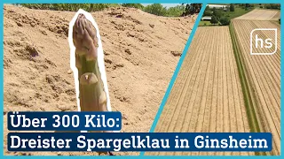 3.000 Euro Schaden! Spargel-Diebe ernten Feld auf sechs Kilometern ab | hessenschau