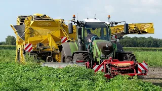 Aardappel oogst 2022 met Ropa Keiler2 WD. landb. Buijs Emmer-Compascuum