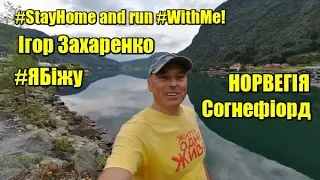 Норвегія - Согнефіорд | Феєрія Мандрів | #ЯБіжу