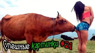 СМЕШНЫЕ КАРТИНКИ ФОТО ПРИКОЛЫ СТОП КАДР FUNNY PICTURES PHOTO FUN FREEZE #21