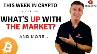 🔴What's Up With the Market? | This Week in Crypto – Aug 15, 2022