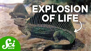 When Did Life on Earth Really Take Off? | The History of Life Pt. 2