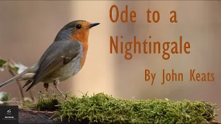 Charming Reading of Ode to a Nightingale by John Keats | Poetry Reading | John Keats