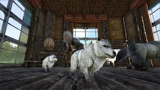 ARK: Survival Evolved Родилась двойня лютоволков. Кормим волчат!