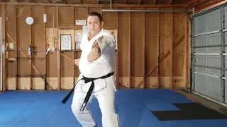 Kihon básico uke Wado Ryu