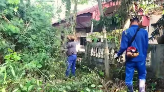 Cut down overgrown trees in the garden - Clean up abandoned houses