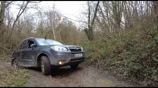 Forests, mud, slopes, rivers, the Forester “goes everywhere”.