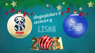 «Angiopicture в гостях у LISMA»