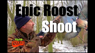 Top Roost Shooting, high, fast, cold!