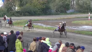 ПРИЗ Талантливого. БСК 5 этап. Абакан 2017