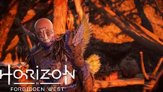 The Enduring - Horizon Forbidden West Gameplay (Errand Quest)