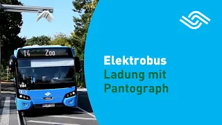 Elektrobus Münster: Ladung mit Pantograph