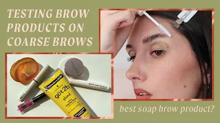 Best brow gel for laminated/feathery look on coarse brows~Refy, NYX Brow Glue, ABH Brow Freeze +more