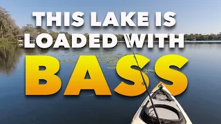 I had Three Lakes to Myself and the Bass Where Chewing!