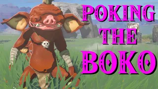 Annoying Bokoblins | The Legend of Zelda: Tears of the Kingdom