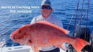 Giant Red Snapper and Gag Grouper Caught Out Deep Sea Fishing (Epic Day)