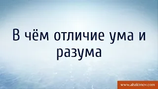 В чём отличие ума и разума? - Александр Хакимов - Алматы, 30.10.2017