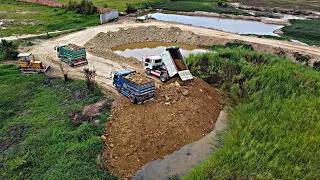 Good work project  fill the Lake water with Dozer Pushing Land  And 5TON Dump Truck