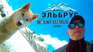 ВОСХОЖДЕНИЕ НА ЭЛЬБРУС | ТРОПЫ СССР Классический маршрут ИЮЛЬ Mount Elbrus